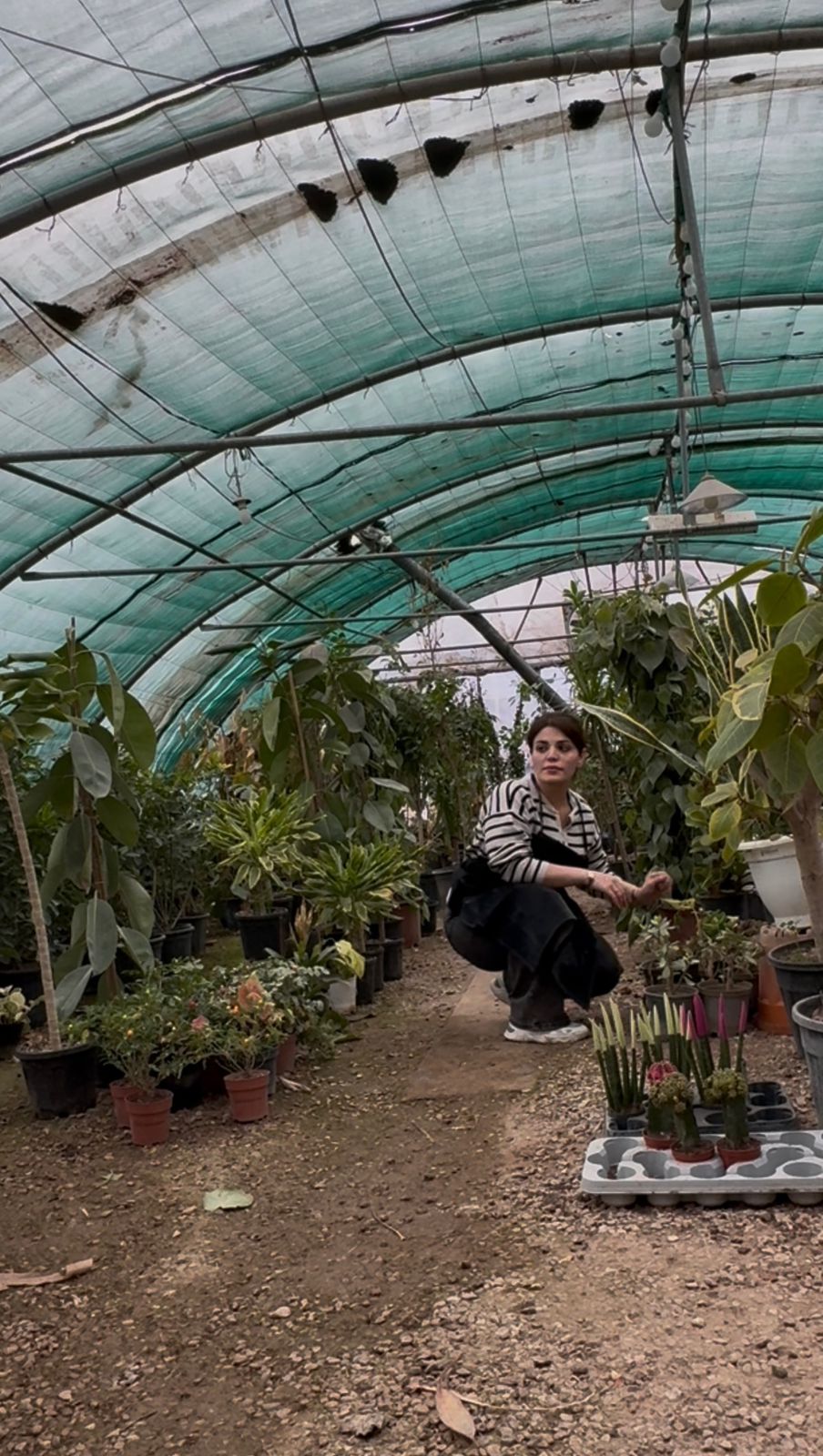 Bakhihanar Gallery Image